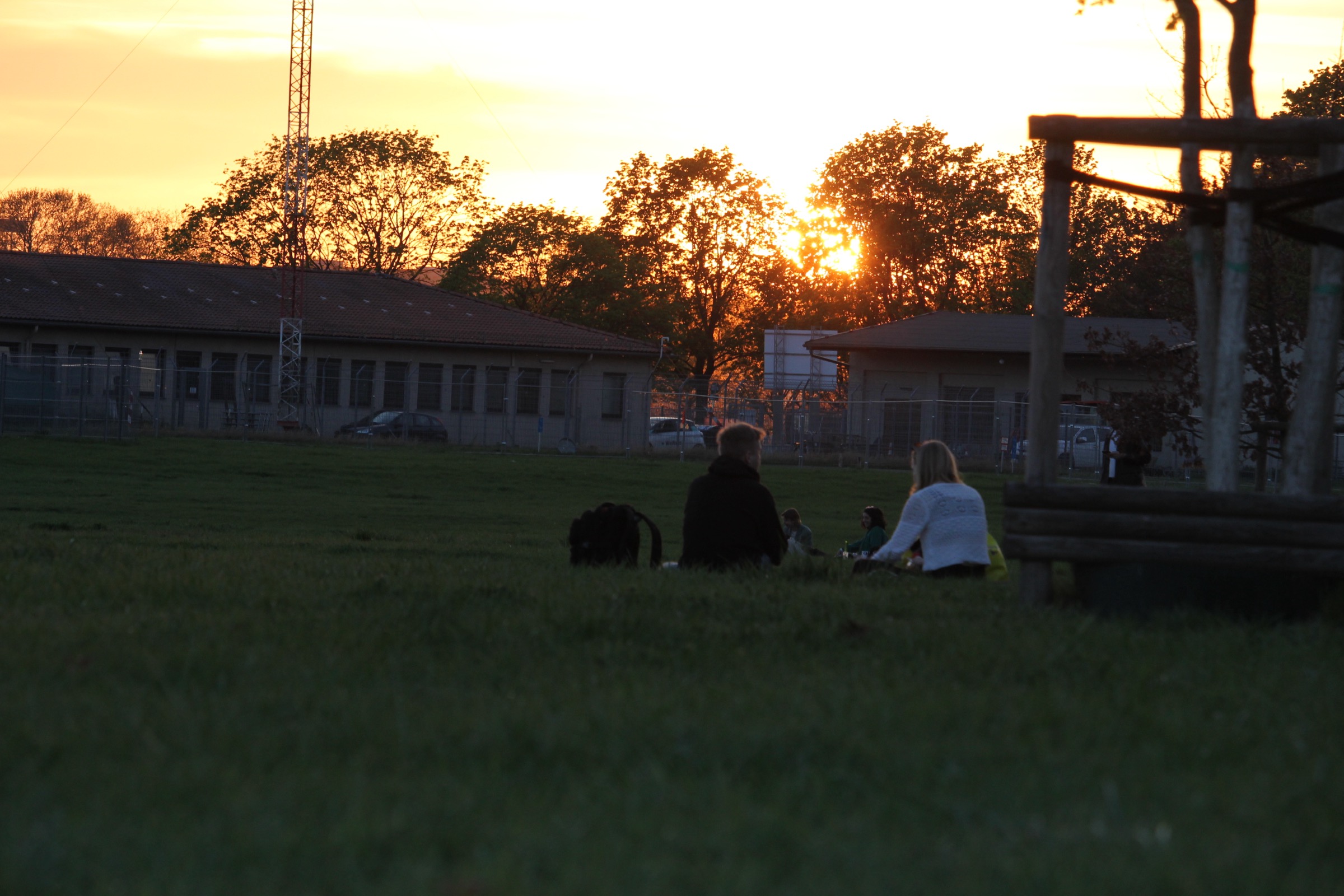 People sitting on grass watching sunset